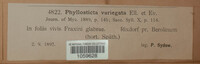 Phyllosticta variegata image
